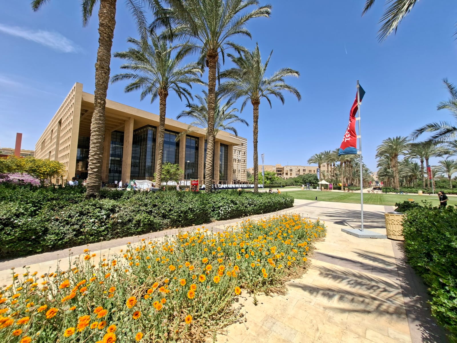 The American University in Cairo, New Campus — sand-colored buildings flanked by palm trees and flowering gardens